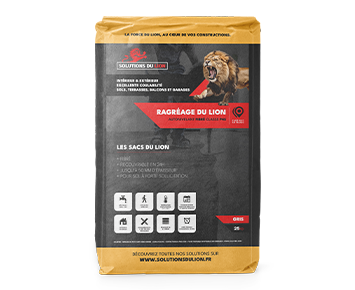 Image du produit : RAGREAGE DU LION P4S image